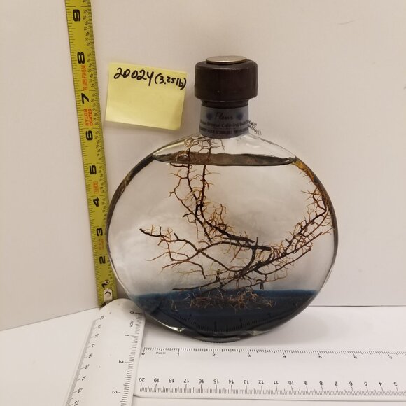 🆕️Shonfelds' Fleur Ocean Breeze Calming Bath Oil - Picture 4 of 17